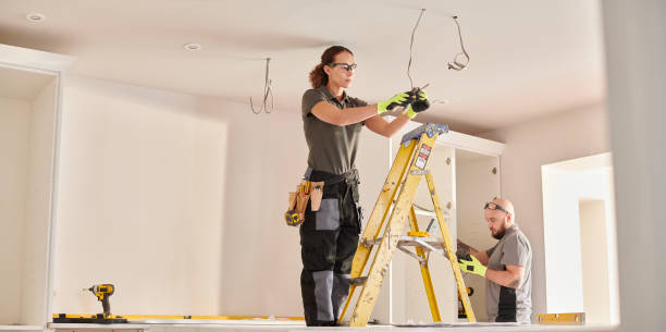 Best Home Electrical Repair  in Williamson, WV