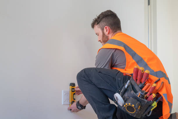 Best Affordable Electrician  in Williamson, WV