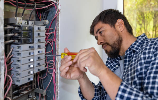 Best Licensed Electrician  in Williamson, WV